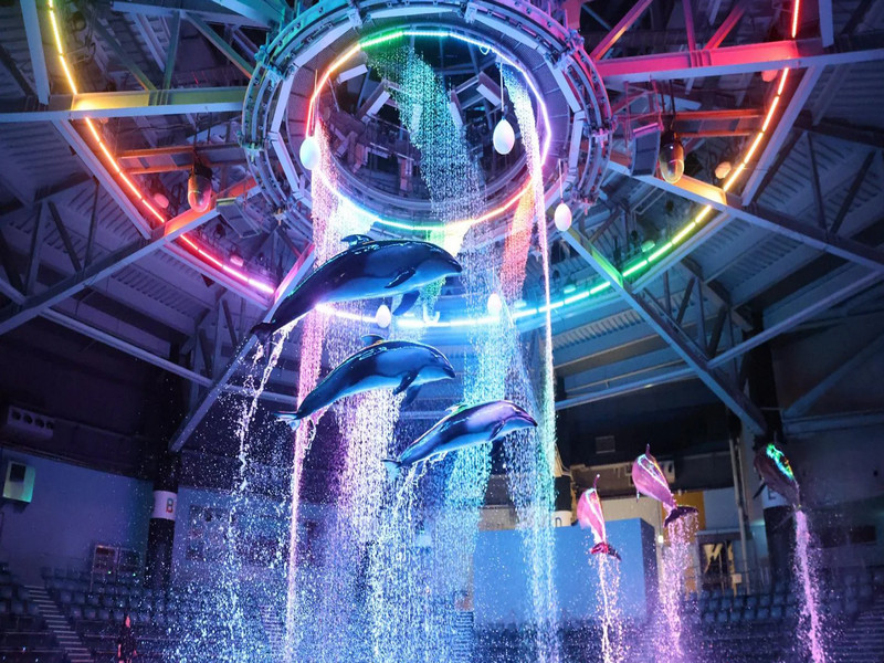 品川Maxell Aqua Park水族館